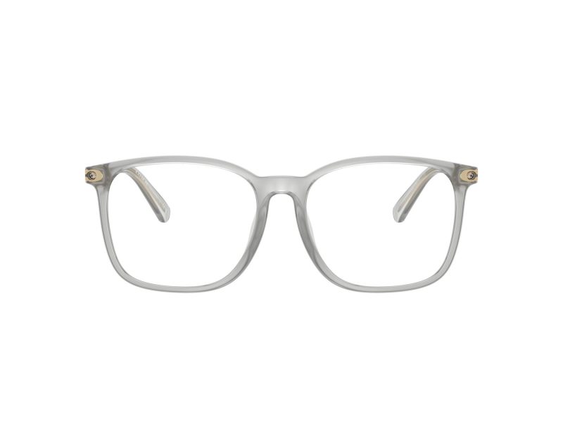 Coach Silmalasit 6254BD 5614