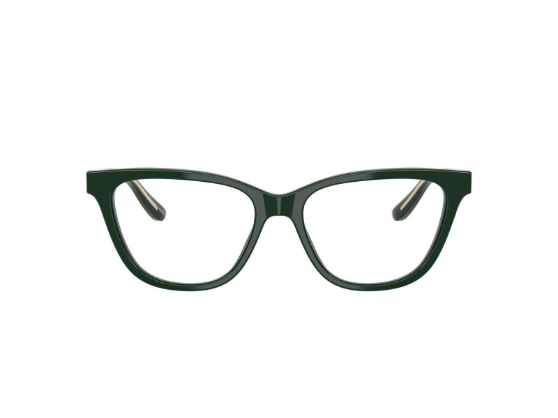 Giorgio Armani Silmalasit 7263 6173