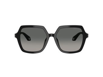Giorgio Armani Aurinkolasit 8193U 500119