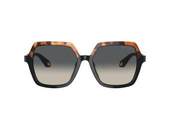 Giorgio Armani Aurinkolasit 8193U 587519