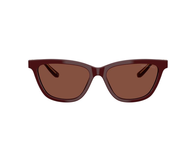 Giorgio Armani Aurinkolasit 8221 5955C5