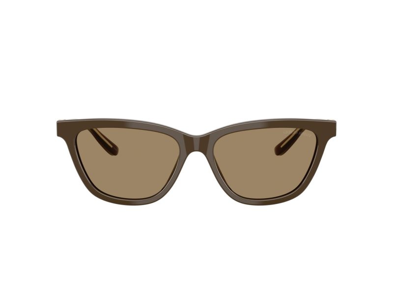 Giorgio Armani Aurinkolasit 8221 595753