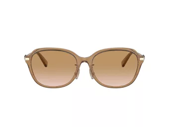 Coach C6199 Aurinkolasit 8332D 565413