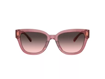 Coach Cl920 Aurinkolasit 8379U 580046