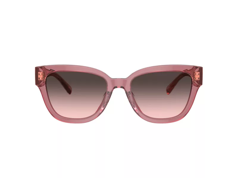 Coach Cl920 Aurinkolasit 8379U 580046