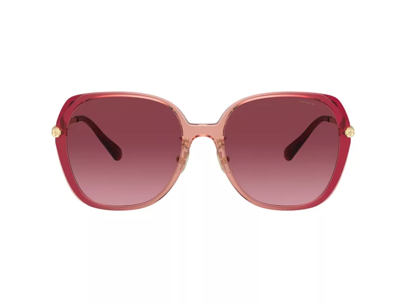 Coach Cr636 Aurinkolasit 8403D 58268H