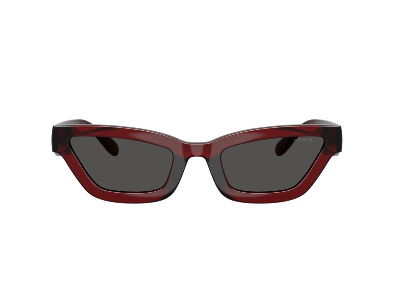 Coach Cad28 Aurinkolasit 8420U 587487