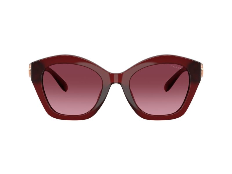 Coach Cad31 Aurinkolasit 8421U 58708H