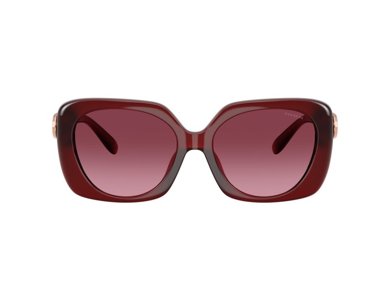 Coach Cad33 Aurinkolasit 8422U 58708H